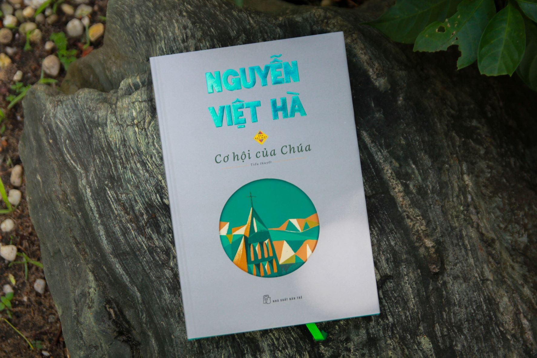 Nguyen Viet Ha anh 1