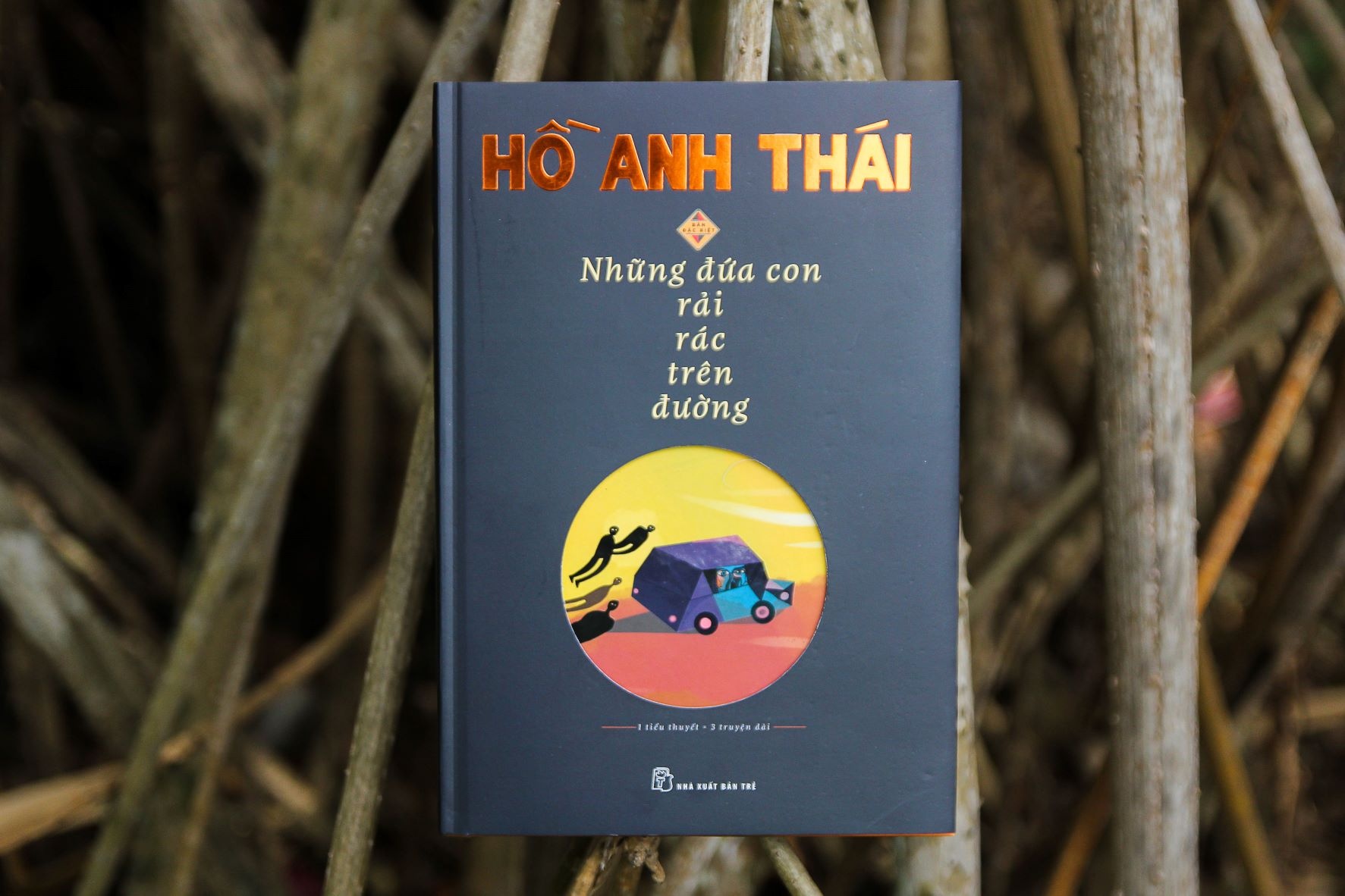 Doc tieu thuyet la ta duoc song mot luc nhieu cuoc doi hinh anh