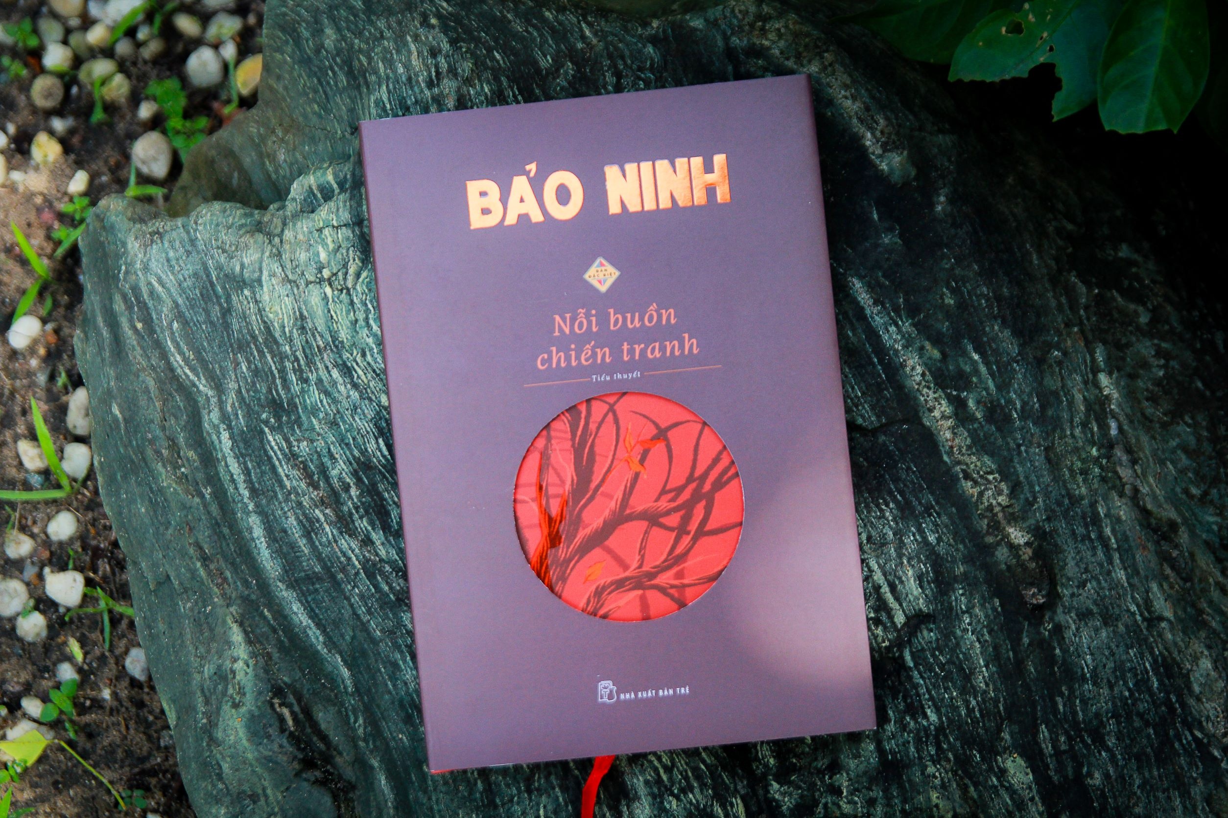 Bao Ninh anh 1