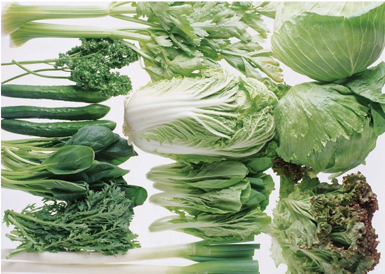 Giam can tu nhien voi sinh to hinh anh