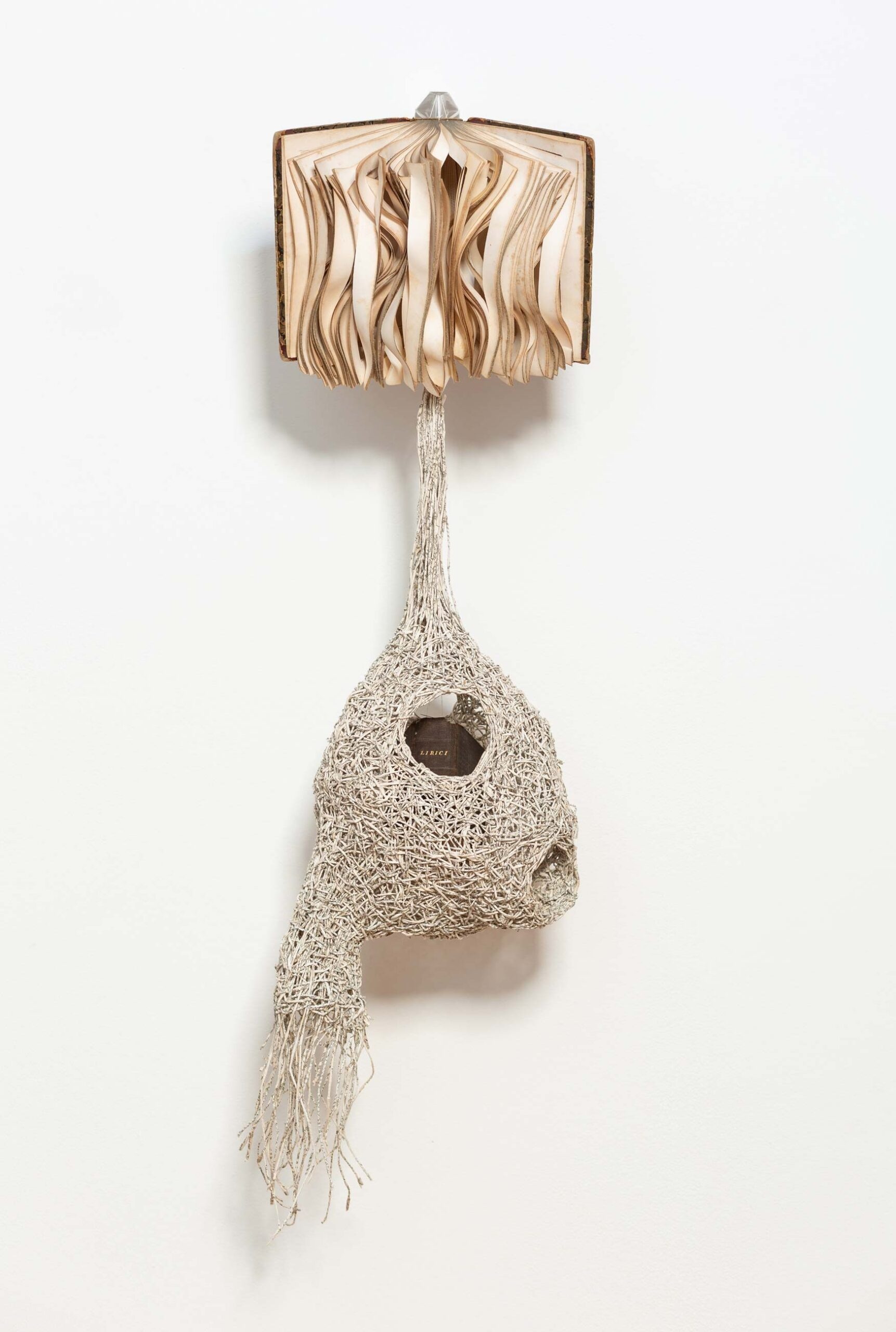 Dieu khac sach anh 8