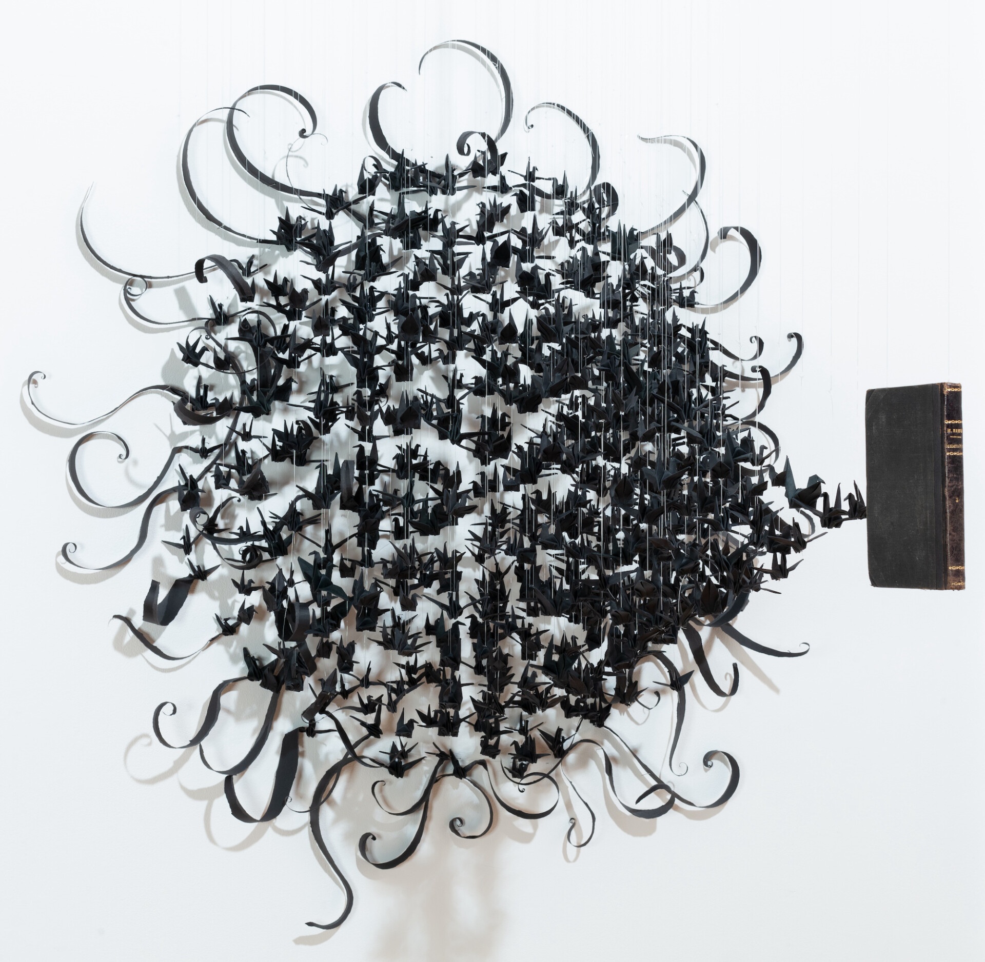 Dieu khac sach anh 6