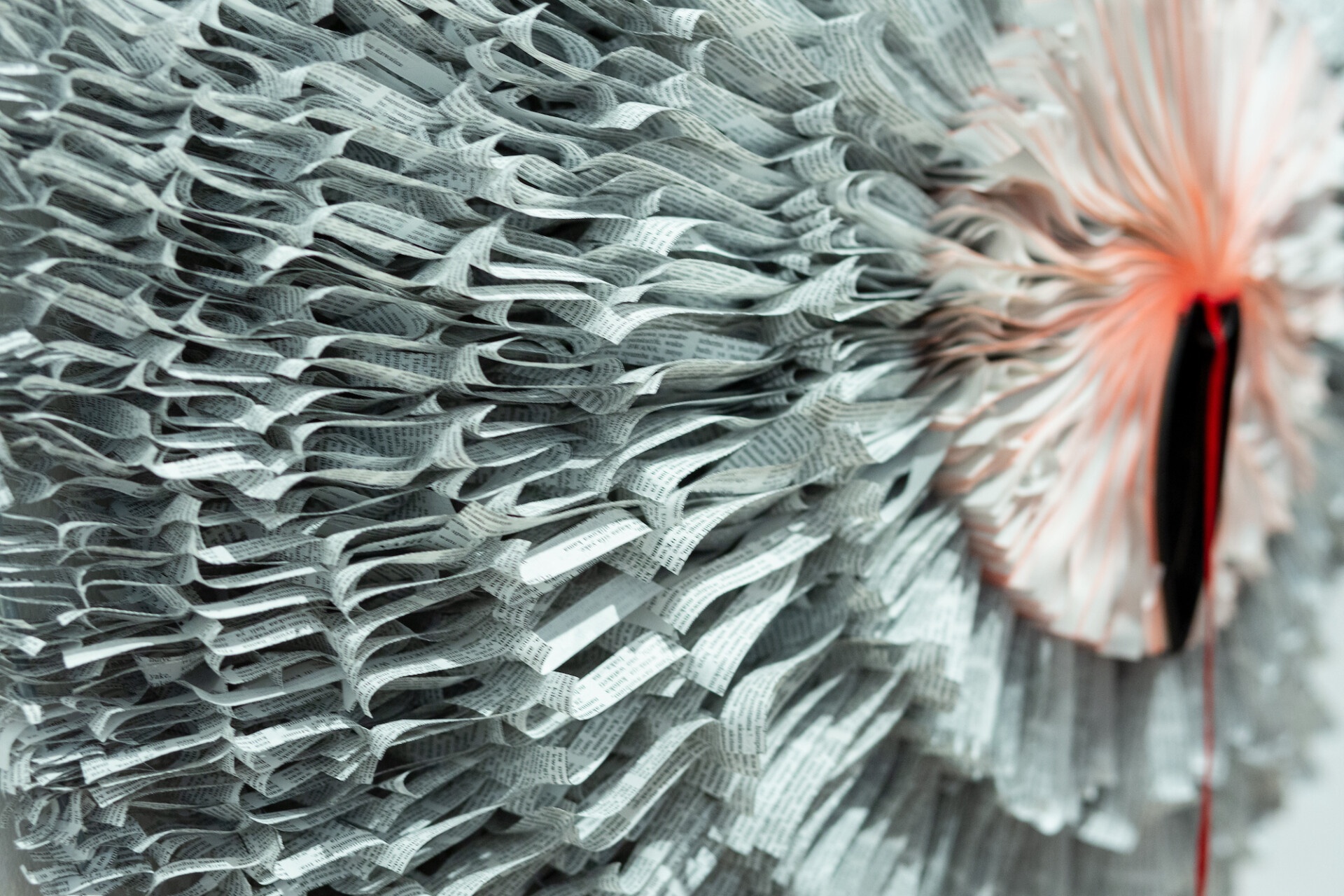 Hoi sinh nhung cuon sach bi bo roi thanh tac pham nghe thuat hinh anh