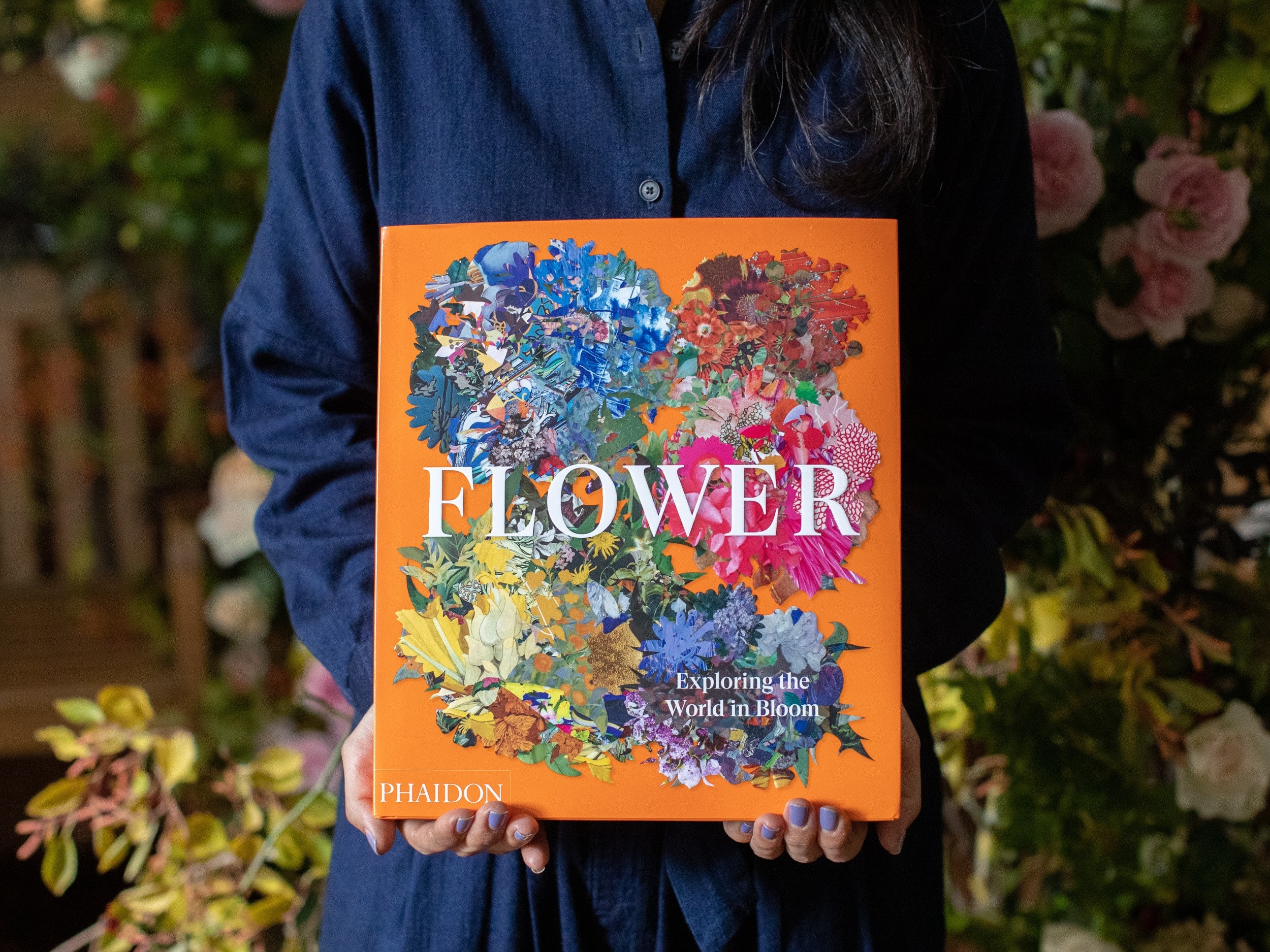 Lac vao the gioi muon hoa bung no hinh anh