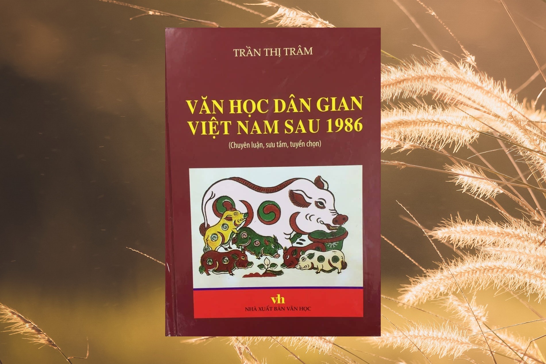'Van hoc dan gian Viet Nam sau 1986' hinh anh