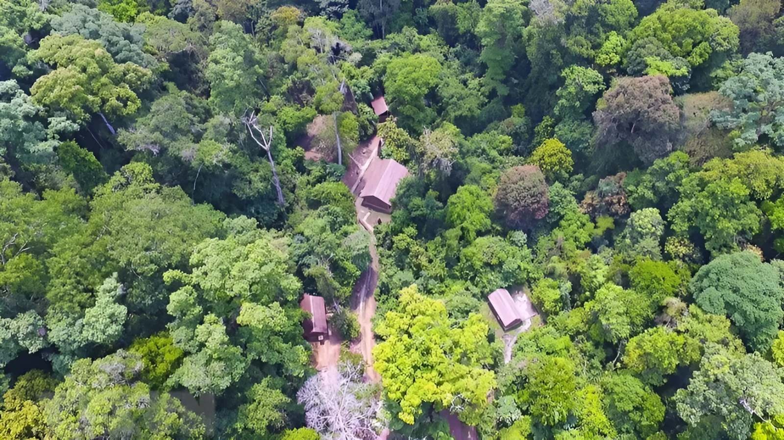 Chuyen ve so chi huy chien dich Dien Bien Phu Muong Phang hinh anh