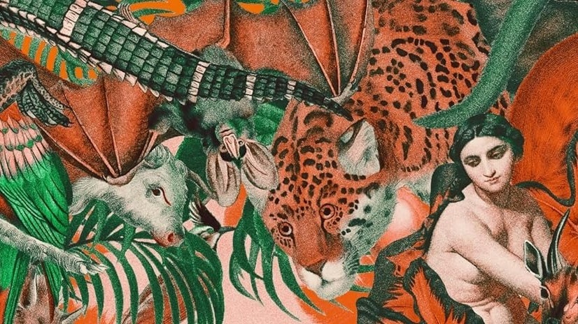 HIV, Covid-19, cach dong vat gay benh cho nguoi va nguoc lai hinh anh