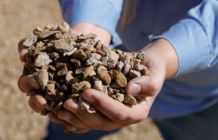 Con ga de trung vang tren khap Trung Quoc hinh anh