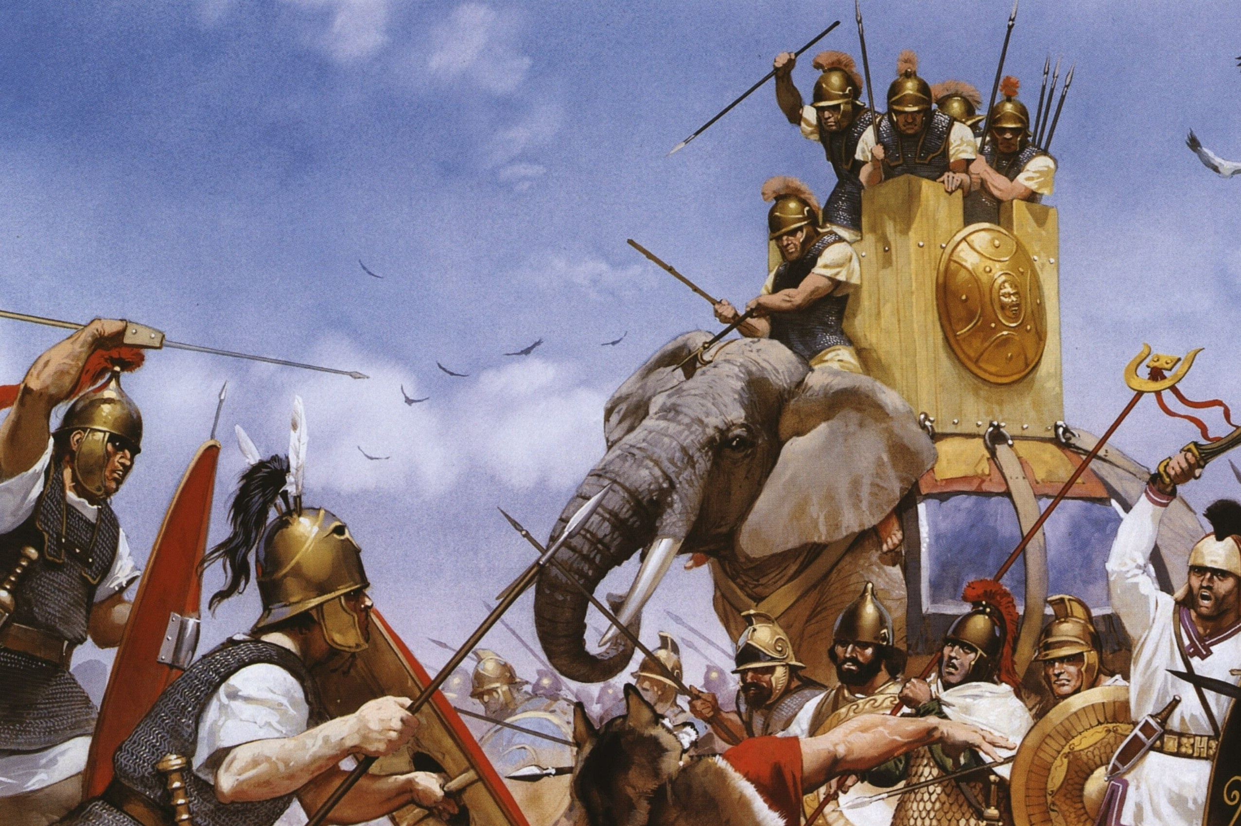 Meo dan quan cua thien tai quan su Scipio hinh anh