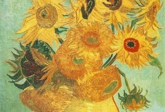Vi sao hoa huong duong tro thanh bieu tuong cua Van Gogh? hinh anh