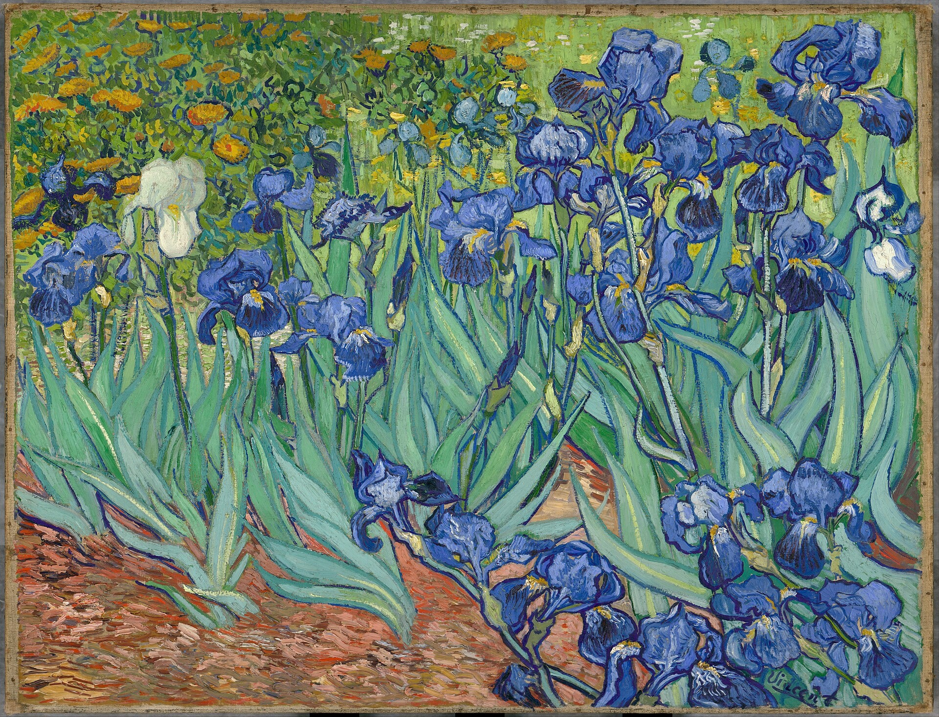 Van Gogh ảnh 1