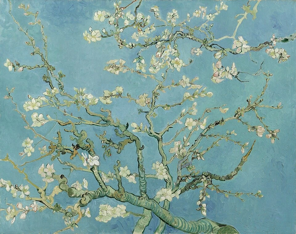 Van Gogh anh 1