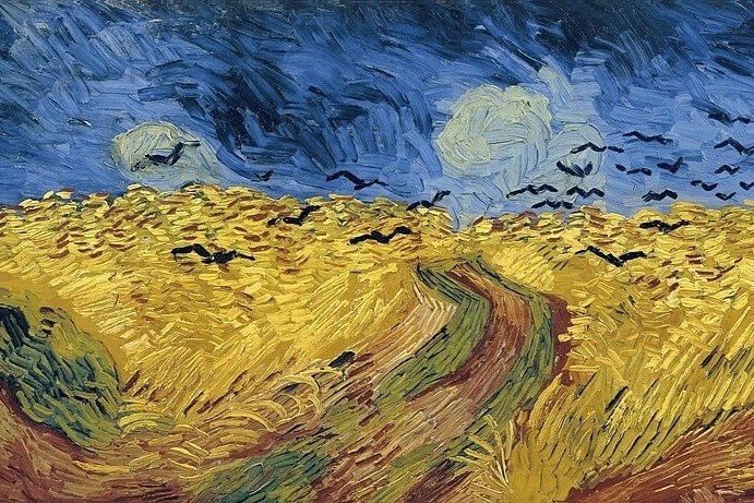 Buc tranh khien ca the gioi tin Van Gogh ve loi tuyet menh hinh anh