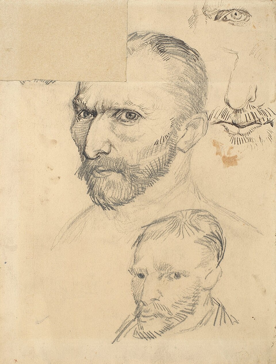 Van Gogh ảnh 1