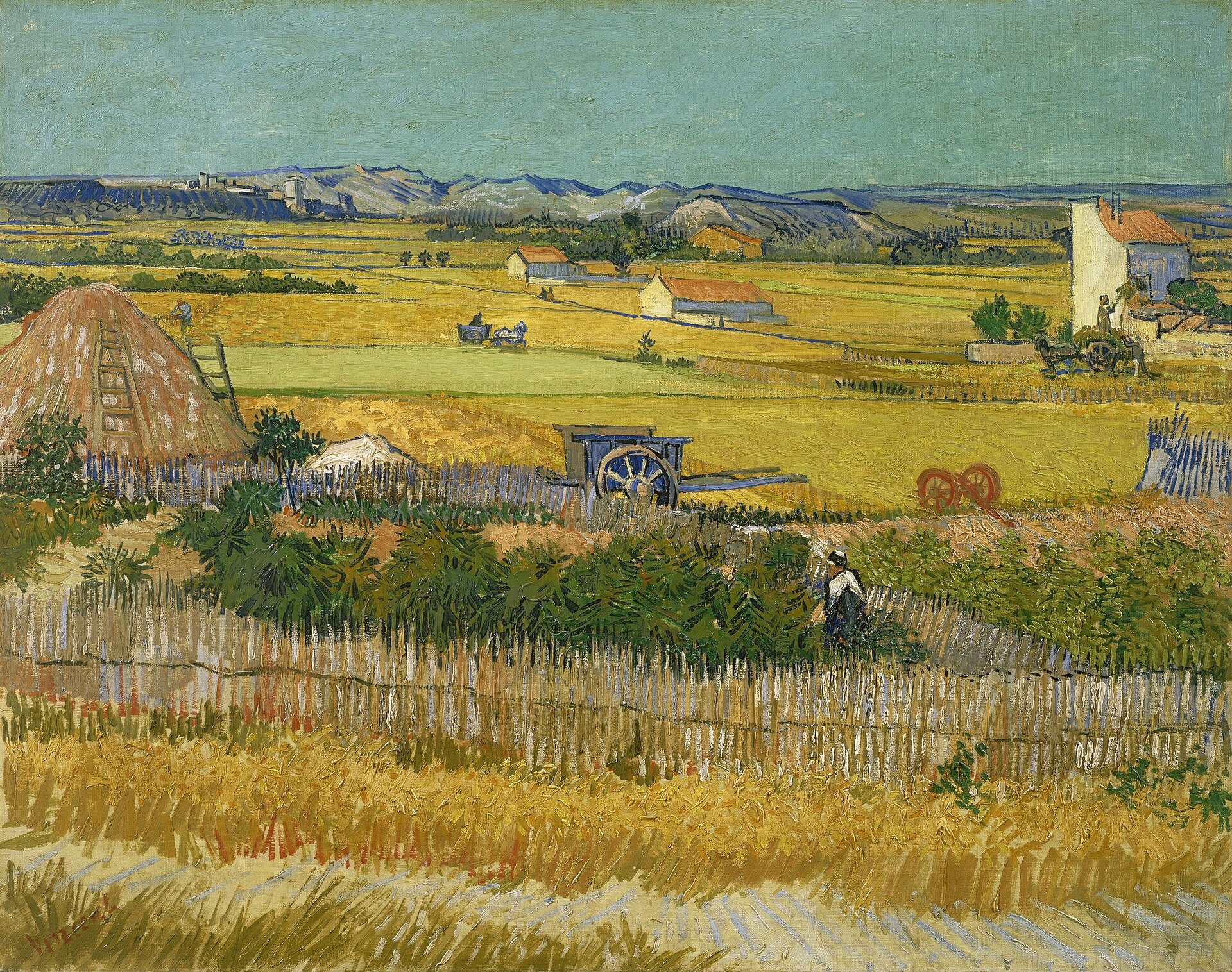 Van Gogh  ảnh 1