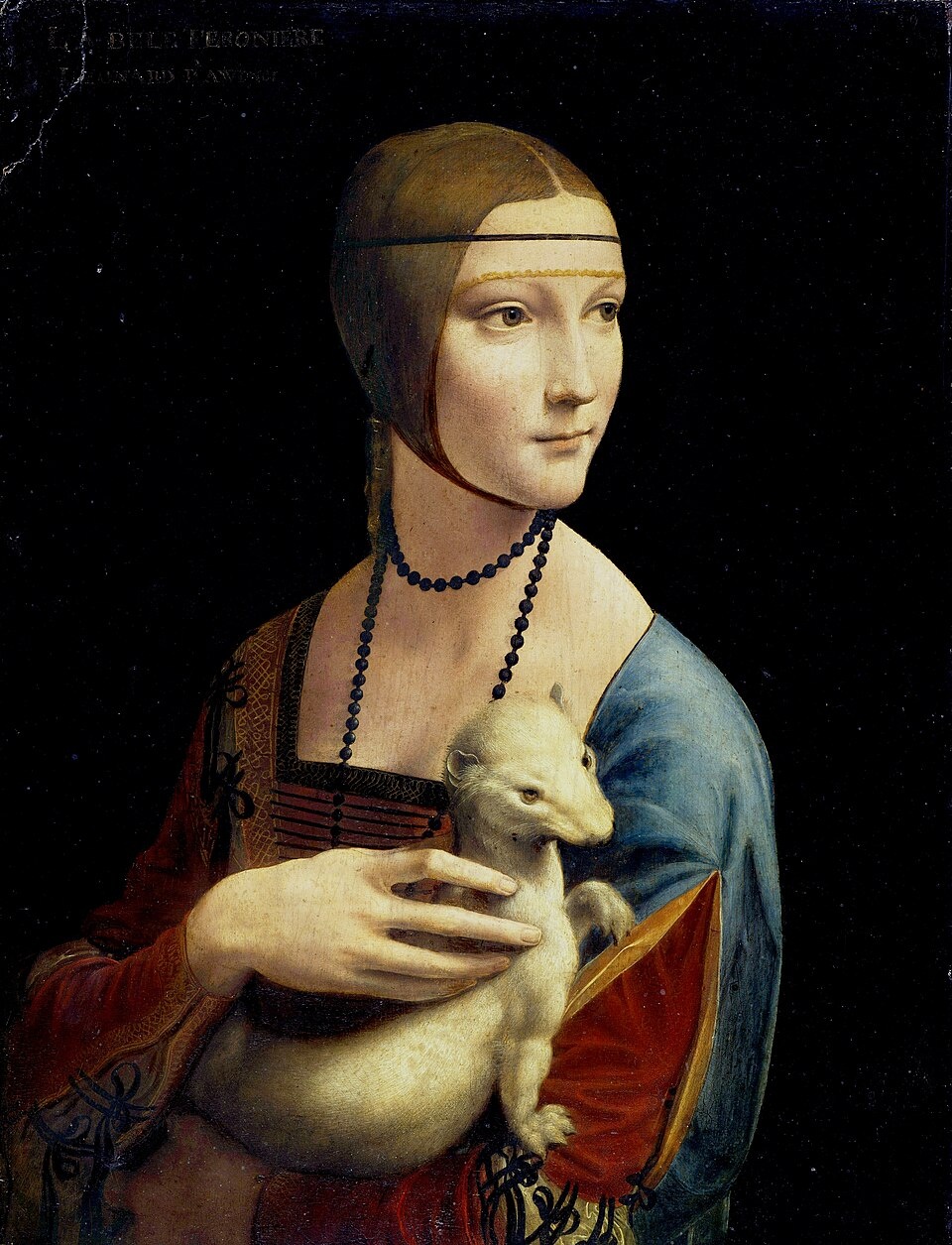 Leonardo da Vinci ảnh 1