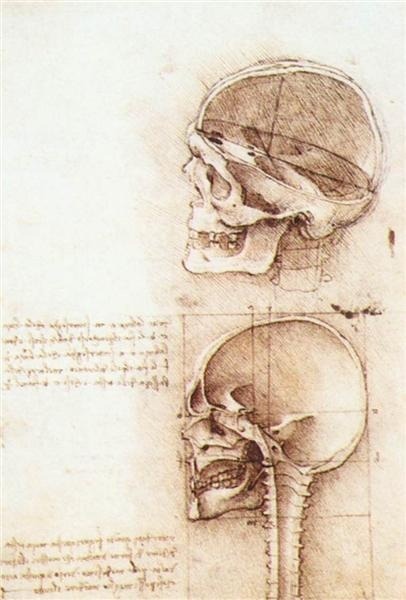 Leonardo da Vinci ảnh 1