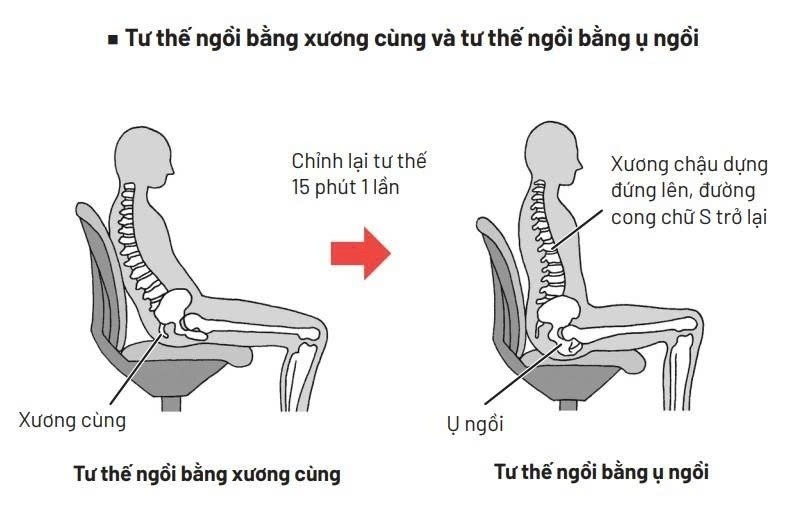 D&acirc;n văn ph&ograve;ng ảnh 2