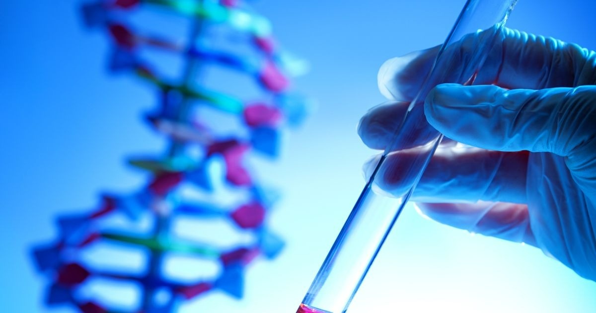 Thứ có khả năng bất tử trong DNA