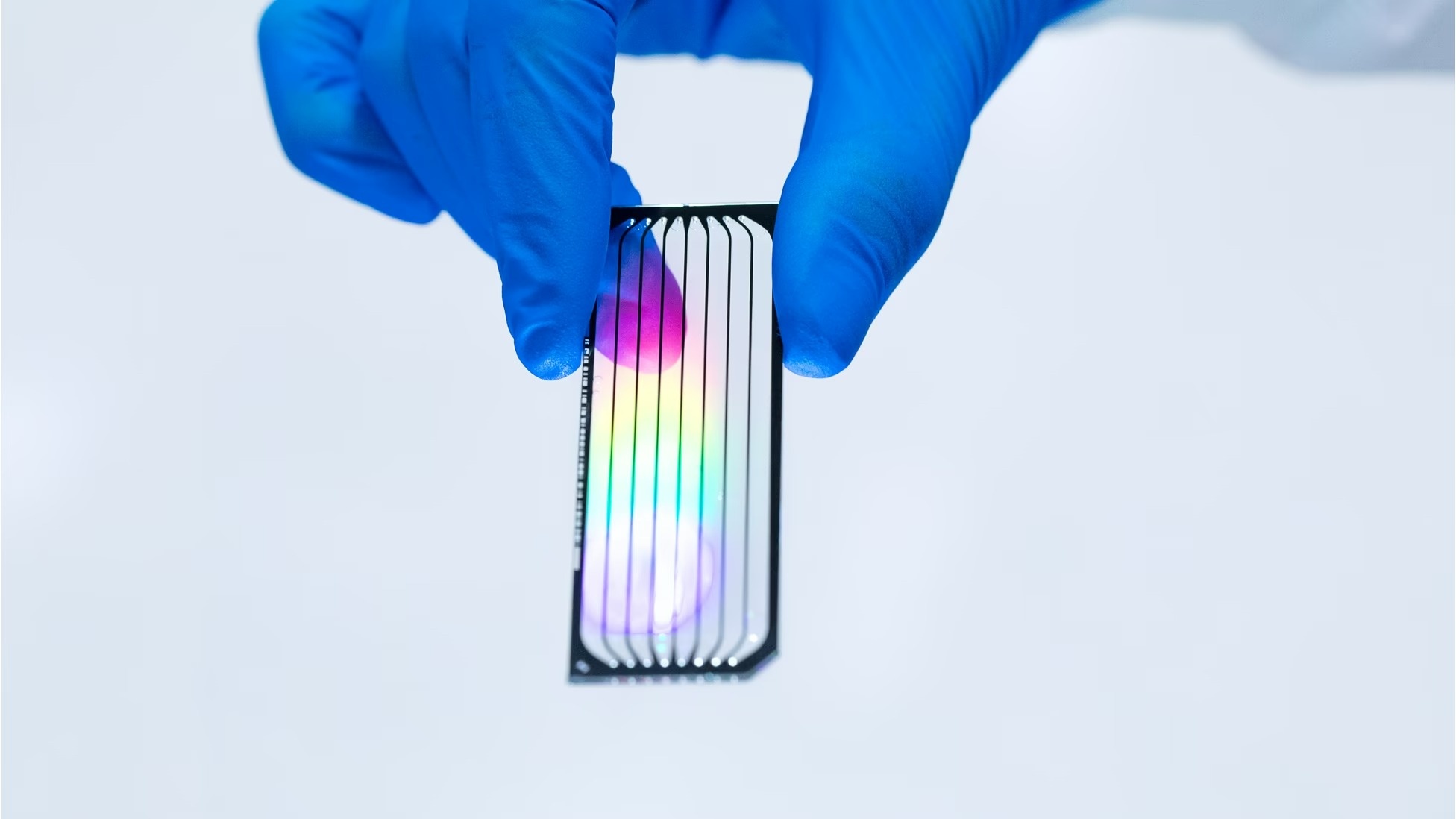 Làm thế nào để một gene đạt được sự 'bất tử'?