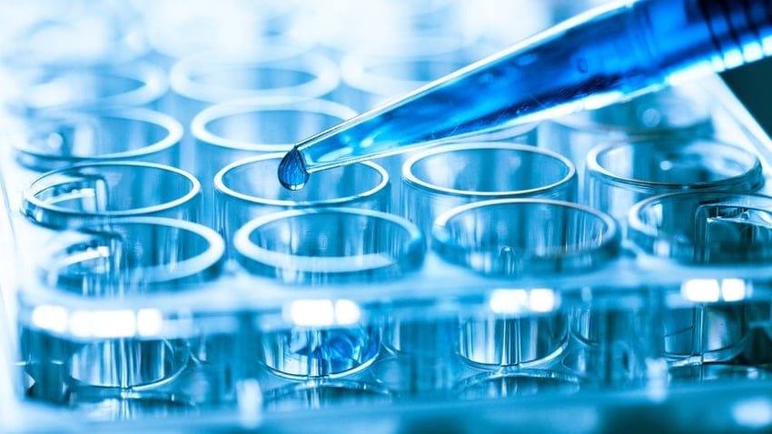 Lý do gene tốt với loài này nhưng 'vô dụng' với loài khác