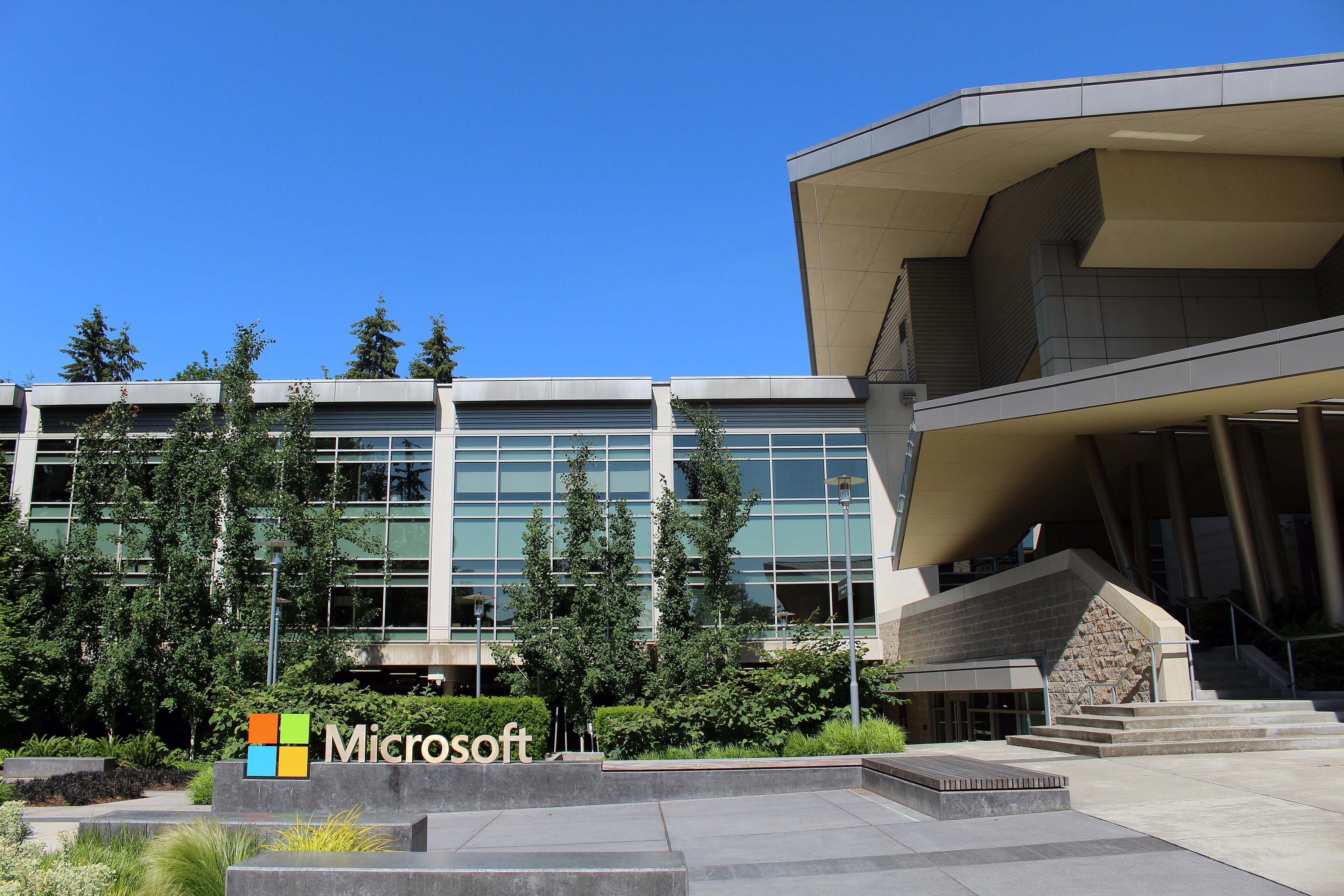 Microsoft ảnh 1