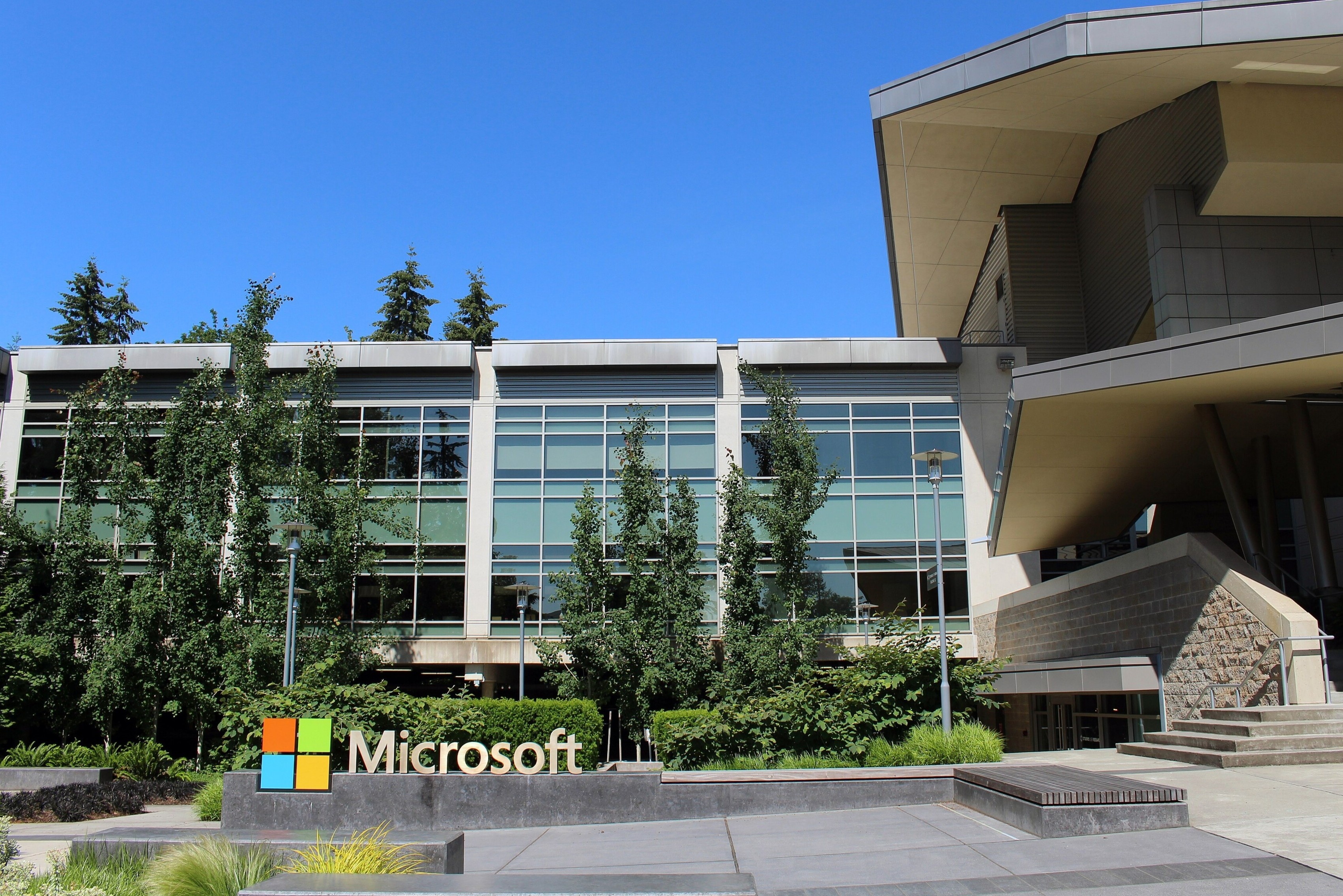 Người đồng nghiệp đặc biệt ở Microsoft