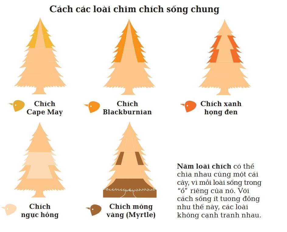 Quy luật đ&agrave;o thải  ảnh 1