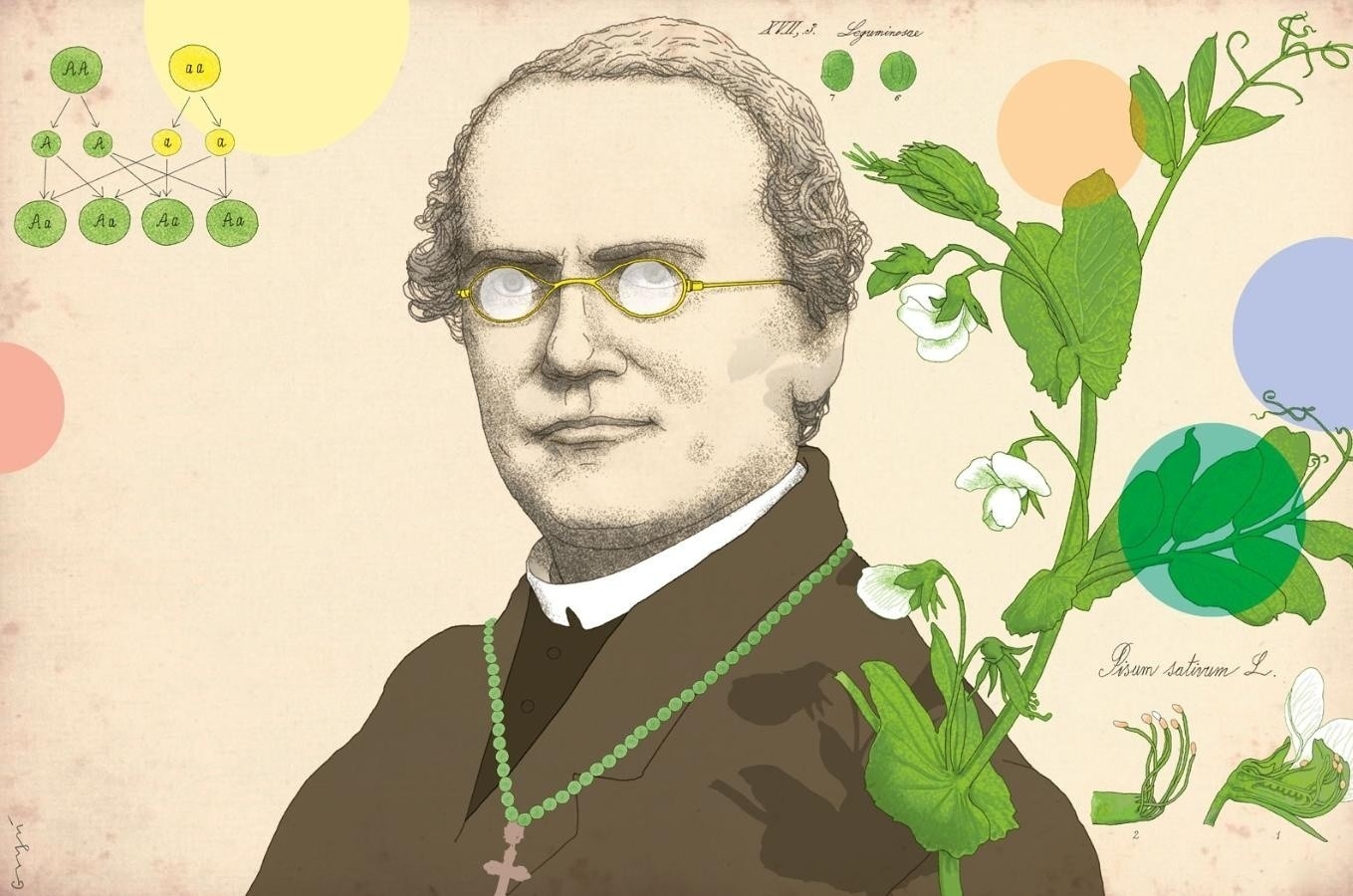 Gregor Mendel, người đặt nền móng cho ngành di truyền học