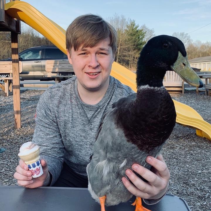 Quay clip la het voi vit, chang trai co 3 trieu fan TikTok hinh anh