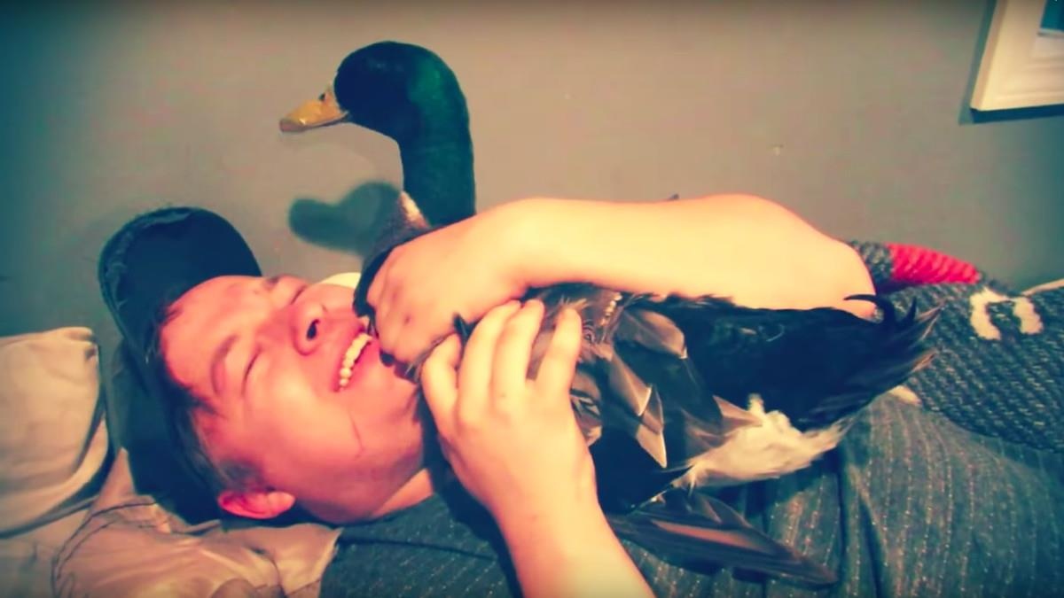 Con vit 2,9 trieu fan den nhung tro lua dao khieu dam tren TikTok hinh anh