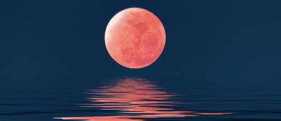 Neu tinh mat, ban se thay Mat trang sang hon ca Mat troi hinh anh