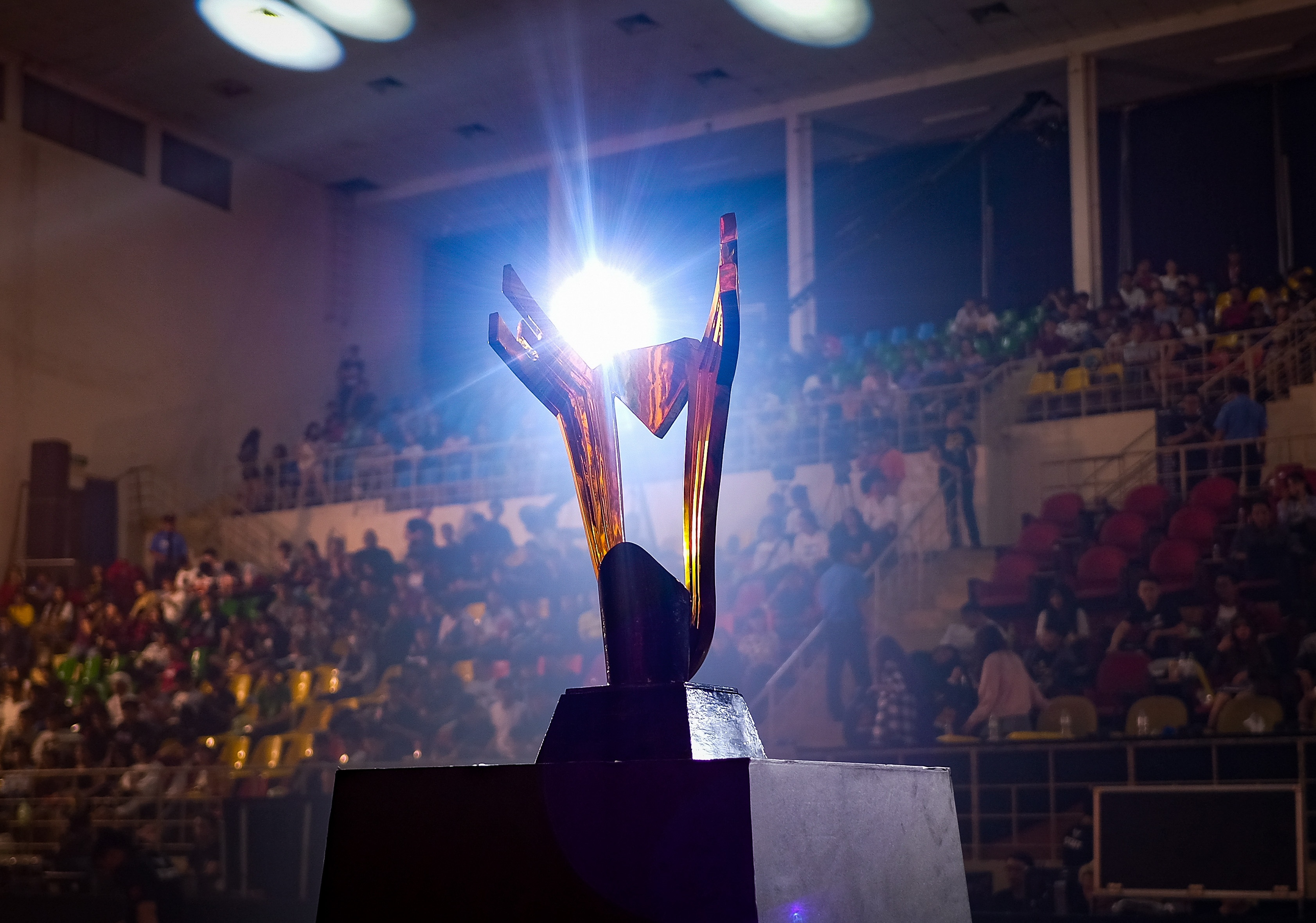 chung ket dau truong sinh ton anh 5