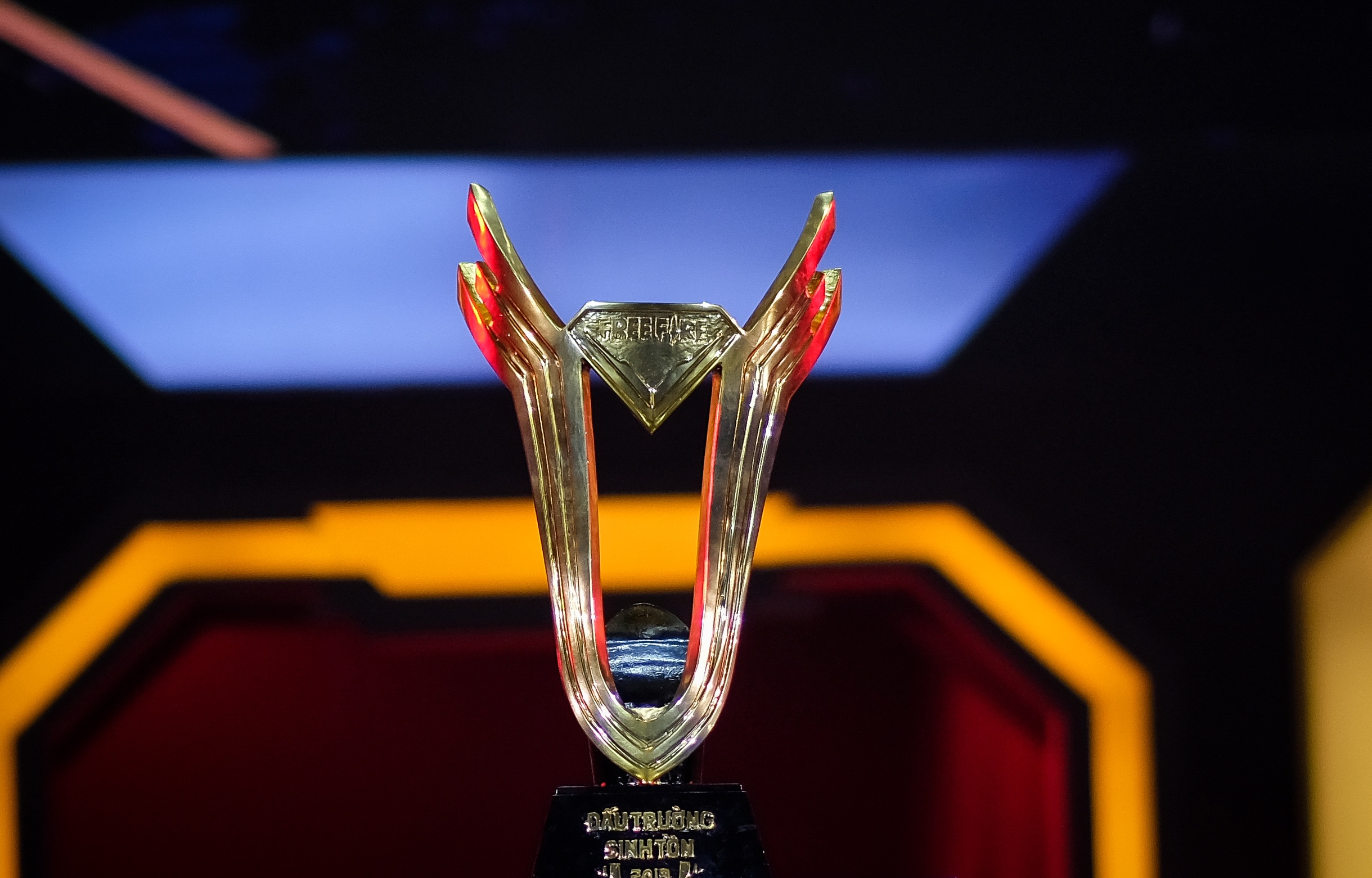 chung ket dau truong sinh ton anh 6