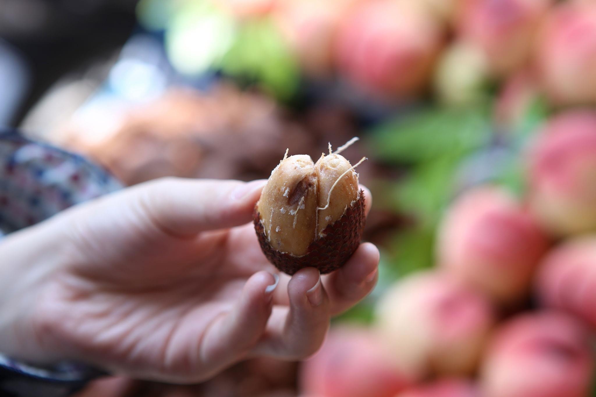 Nguoi Ha Noi thich thu voi loai qua hinh bau duc,  an giong sau rieng anh 1