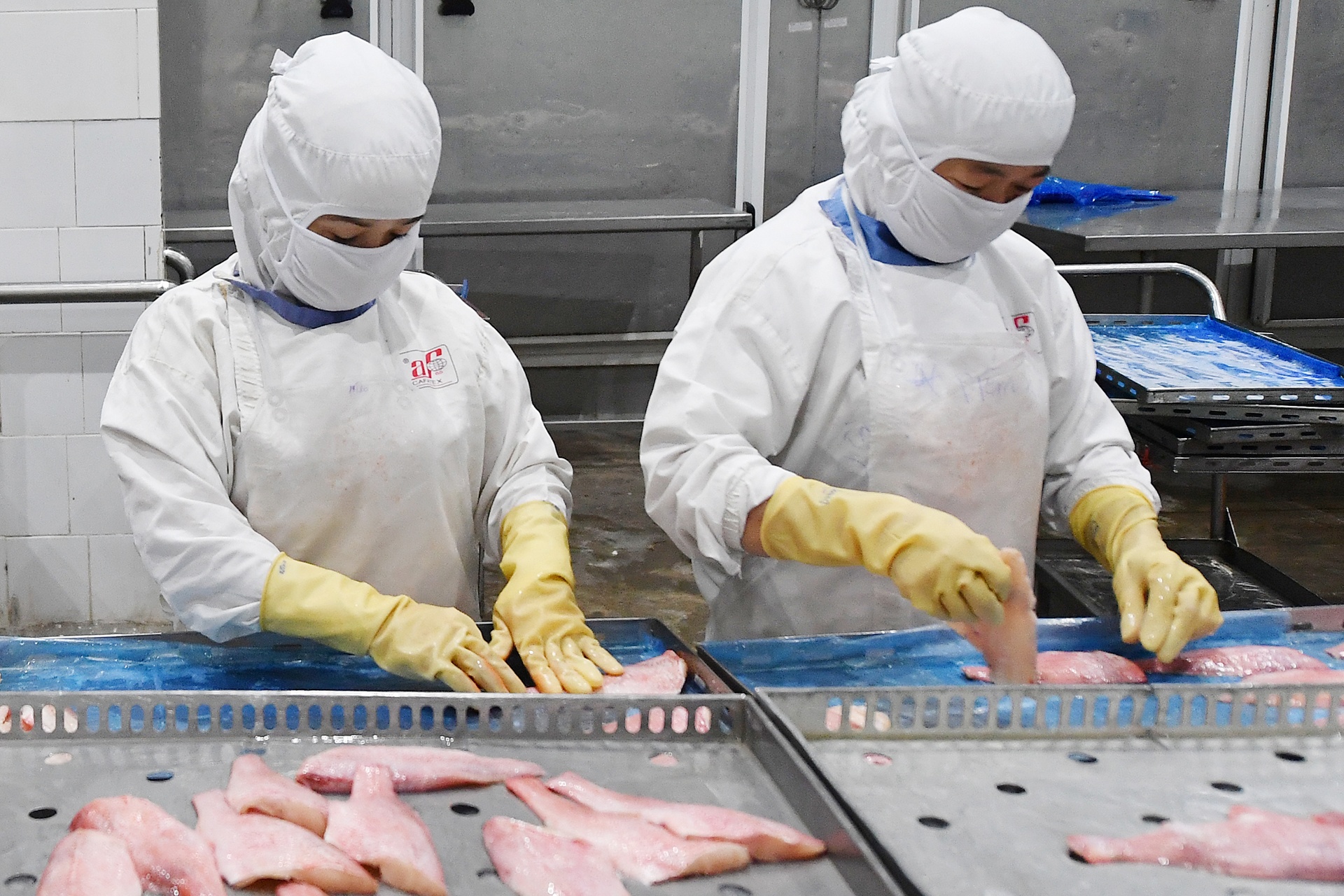 Vi sao GDP 6 thang tang 5,64% bat chap dich benh? hinh anh