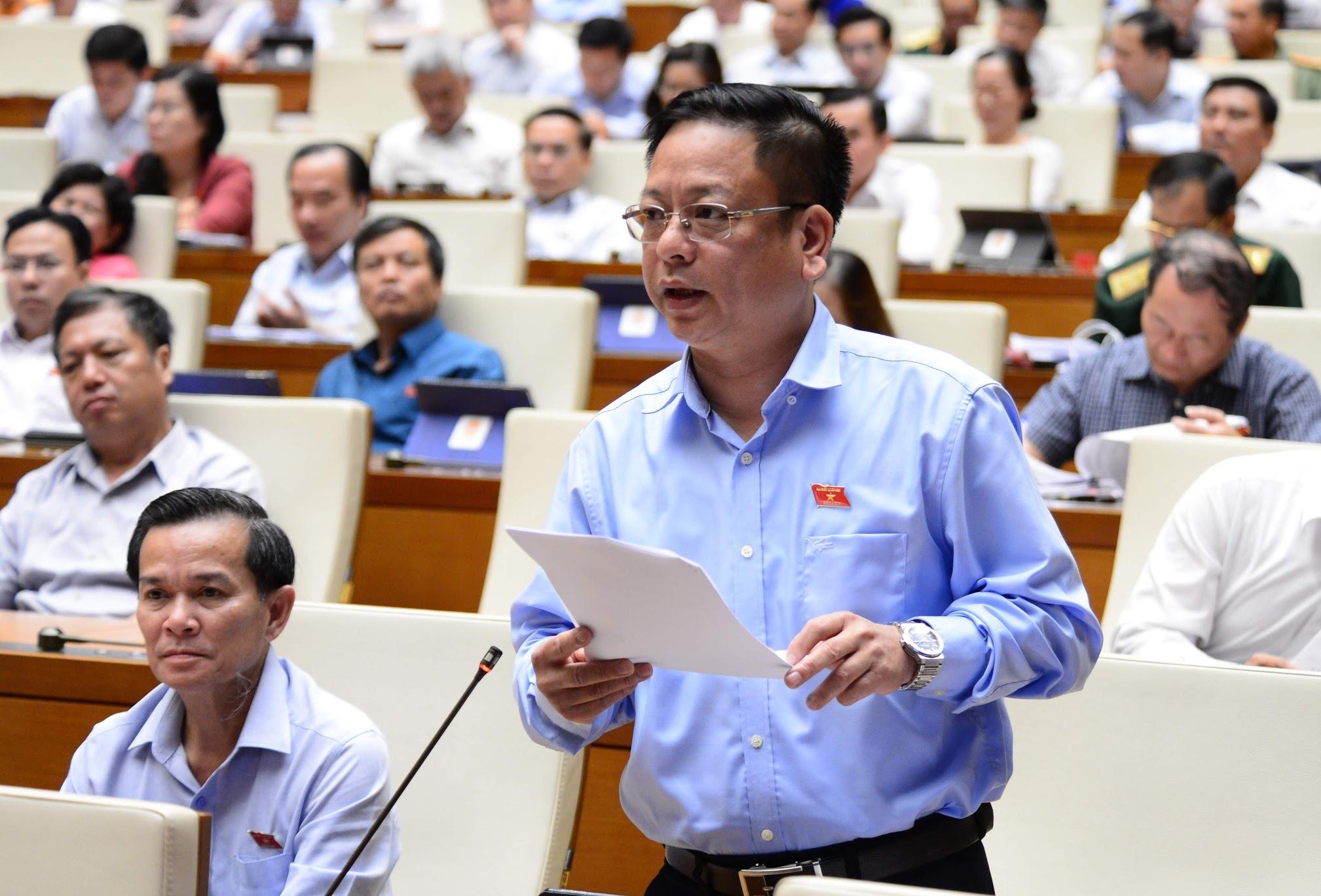 DBQH noi gi ve 75, 01% co phan cang Quy Nhon bi ban trai luat? anh 2