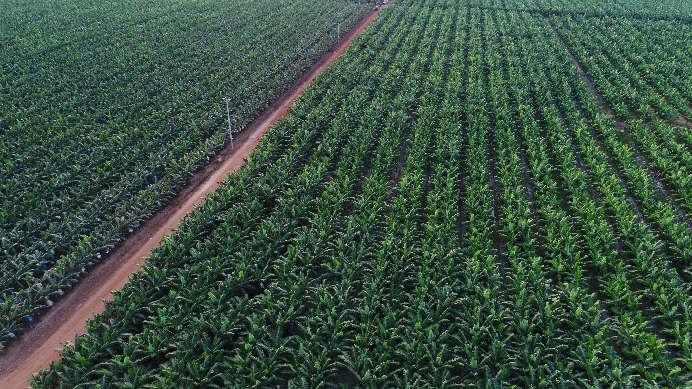 Von Viet Nam ra nuoc ngoai chu yeu rot vao Lao va Campuchia hinh anh