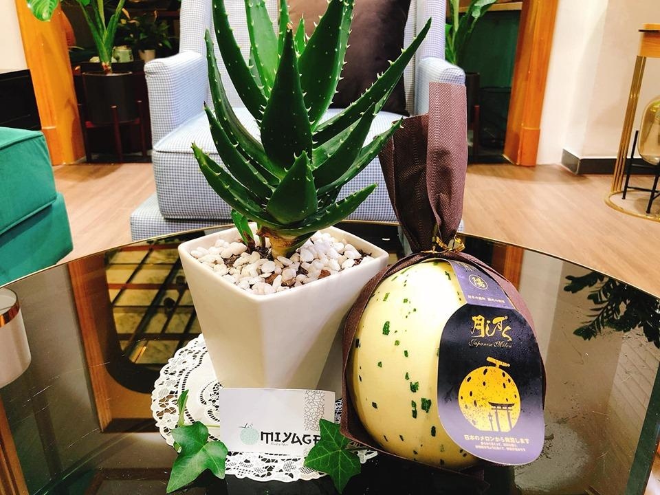 Tin chờ ảnh 2 Tin cho anh 2