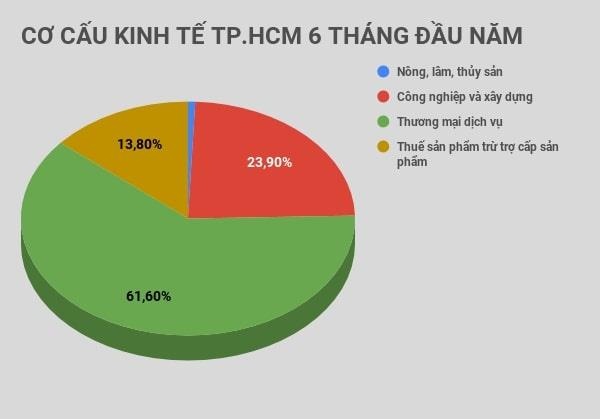 tình hình kinh tế xã hội TP.HCM ảnh 1 tinh hinh kinh te xa hoi TP.HCM anh 1