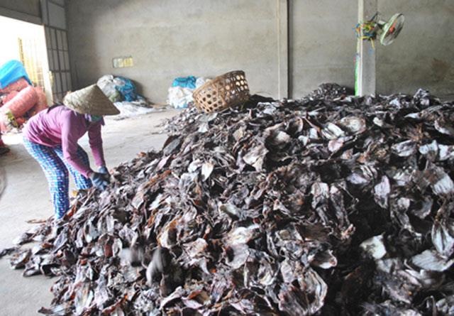 Trung Quoc ngung thu mua muc kho anh 1