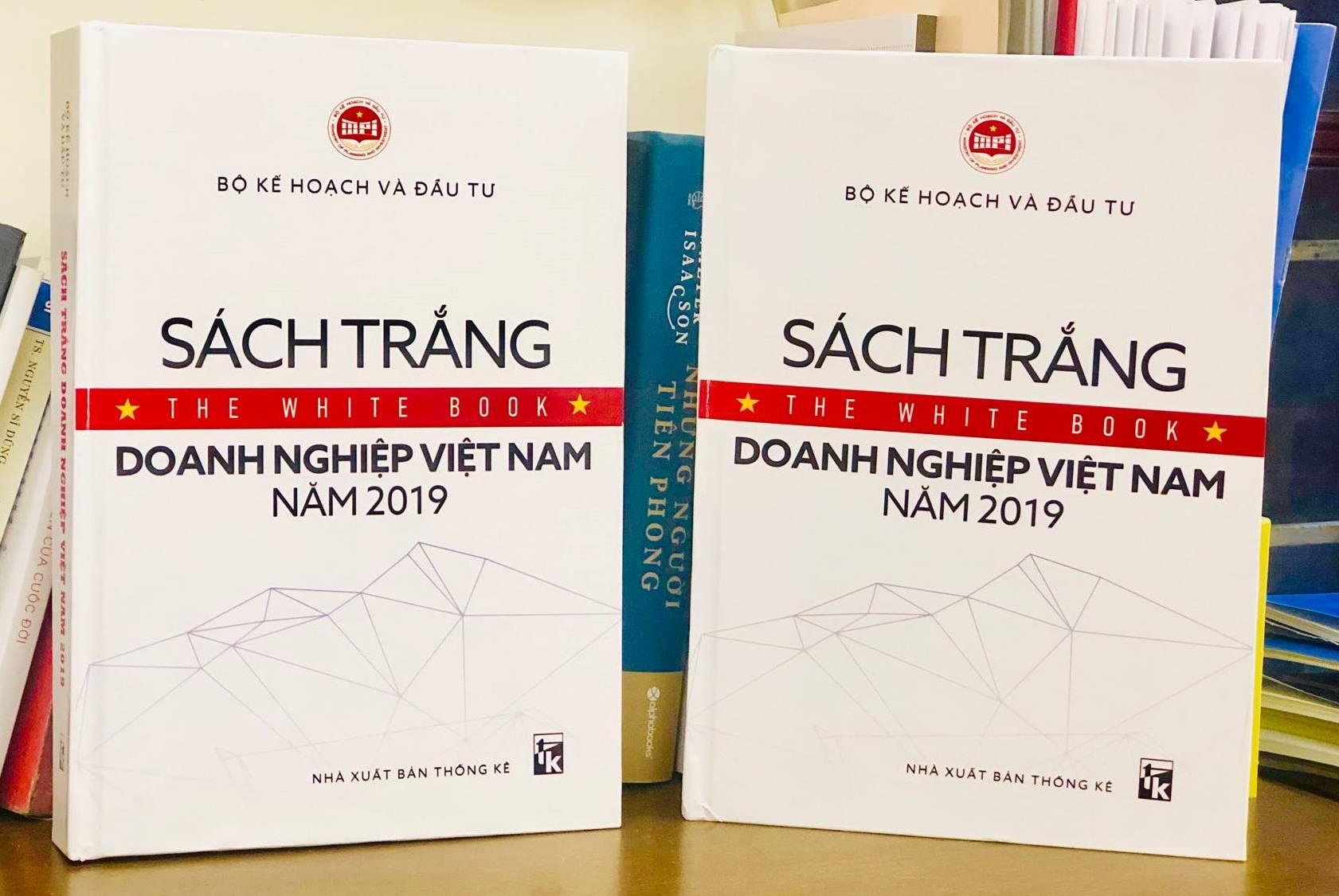 Sach trang doanh nghiep Viet Nam anh 2
