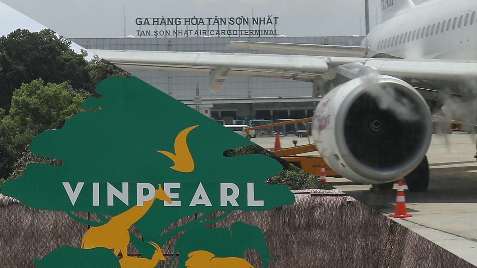 Nikkei: Tham gia hang khong, Vingroup co dang dau tu qua dan trai? hinh anh