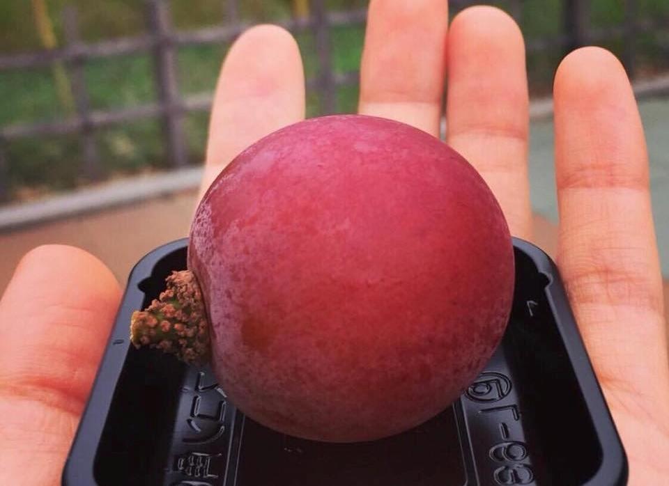 Chum nho 250 trieu dong, nguoi giau Viet mua mot qua ve an thu hinh anh