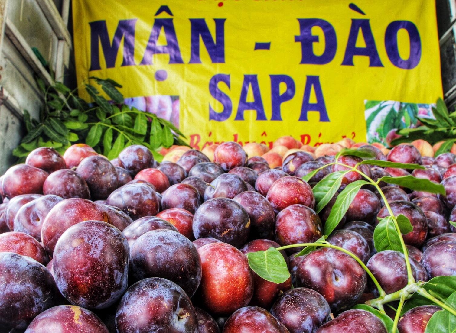 Rau cu qua, nuoc mam cung gia mao 'made in Vietnam' hinh anh