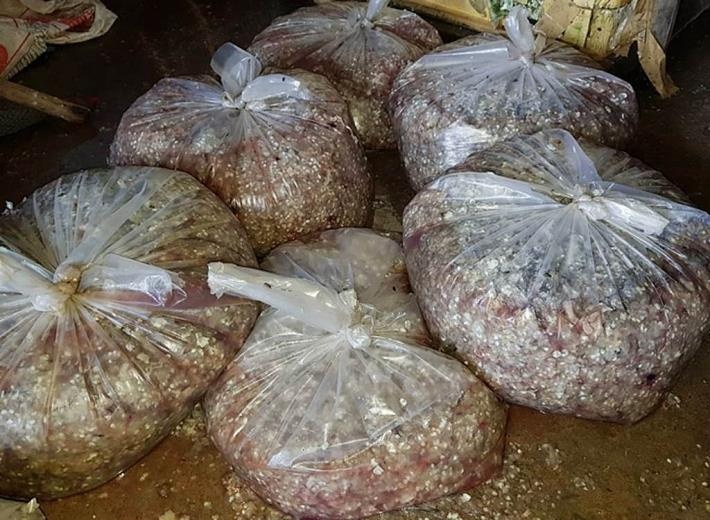 Bí ẩn thương lái đi mua vảy cá ảnh 1 Bi an thuong lai di mua vay ca anh 1