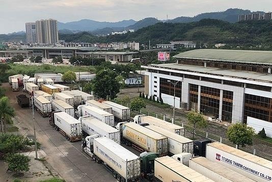 Vi sao hang tram xe thanh long Viet Nam un u o cua khau? hinh anh