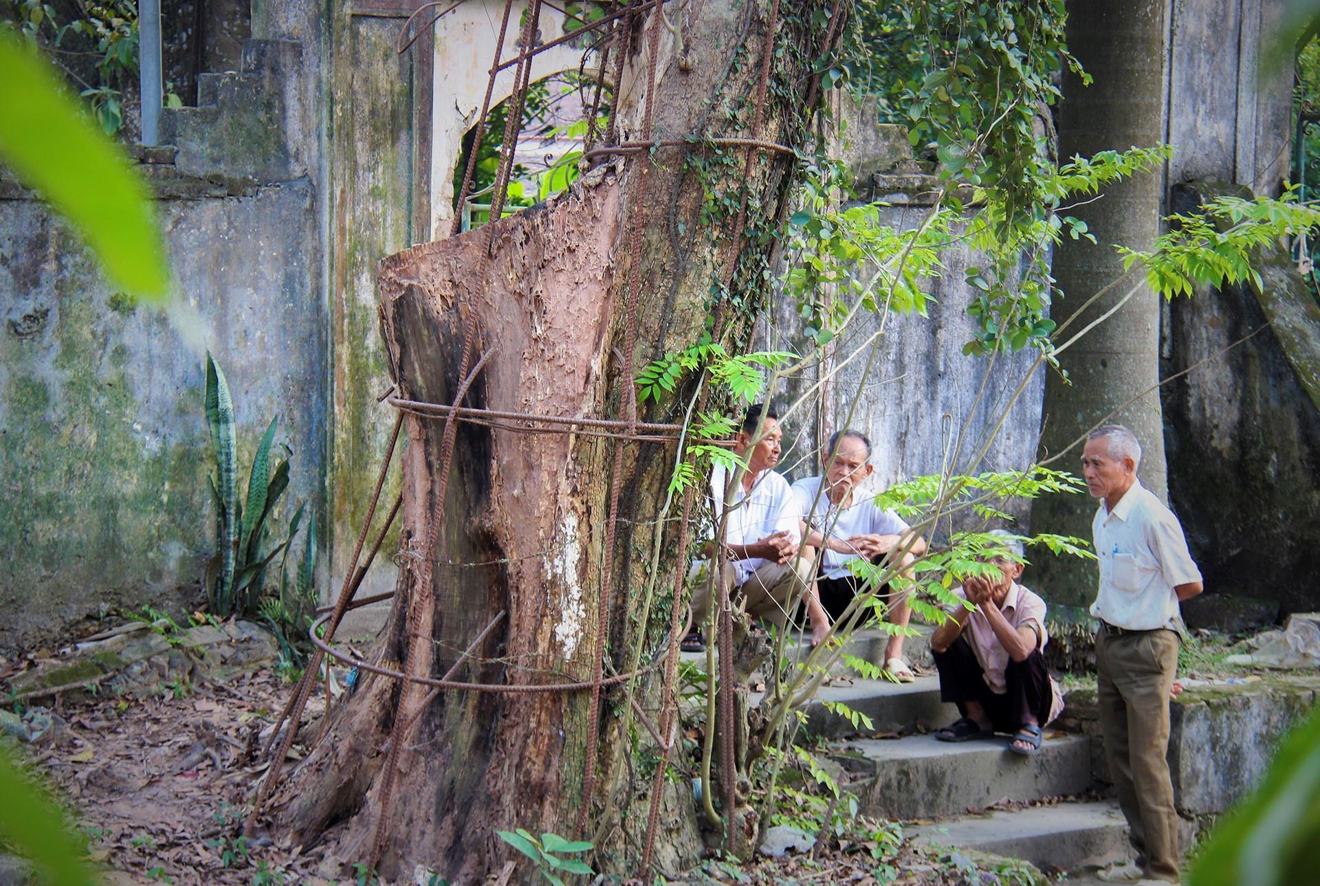 Lang ngoai thanh Ha Noi du kien thu ve 150 ty tu ban dau gia go sua hinh anh
