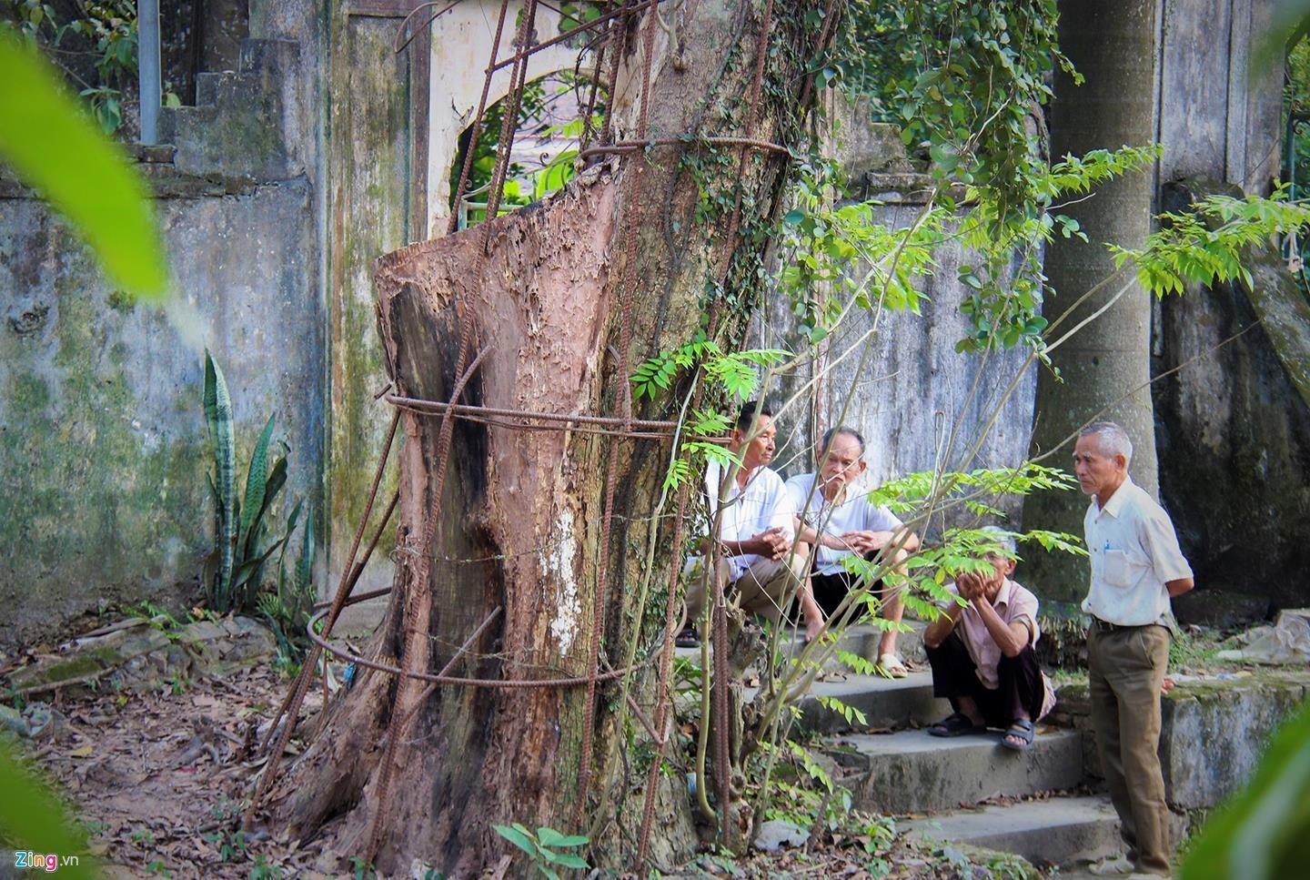 Lan thu 2 huy dau gia go sua 150 ty dong vi khong co ho so tham gia anh 1