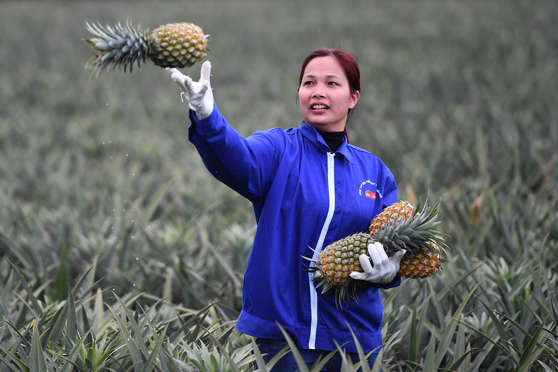 Sau ra soat,  quy mo GDP Viet Nam tang them 56, 8 ty USD anh 1